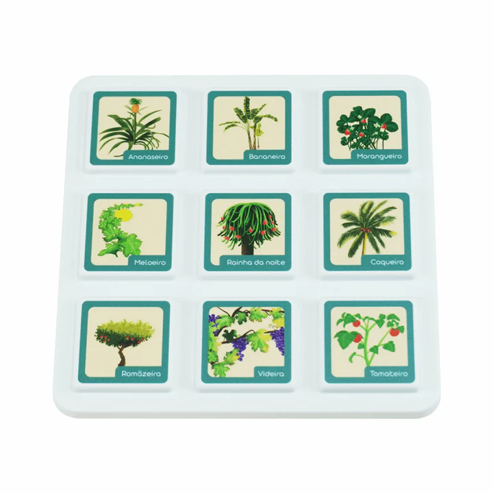 ImagensFruta2_base_1e8dda7d-443f-48c0-bf37-7fc451a2aa4d_720x